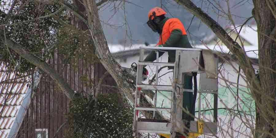 comprar Motosierras de poda