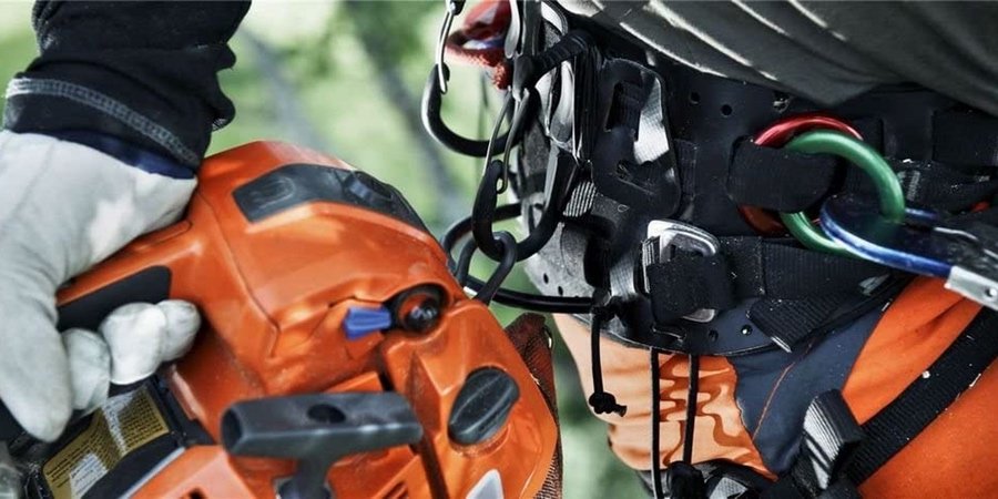 Sistema de sujeción para motosierras de poda