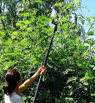 Podadora de altura manual