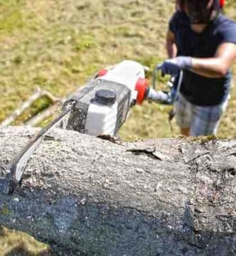Podadoras de altura electricas